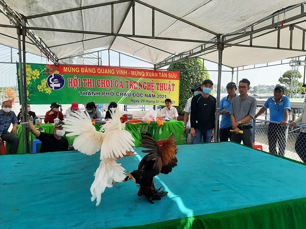 Tiêu chuẩn lựa chọn gà tre
